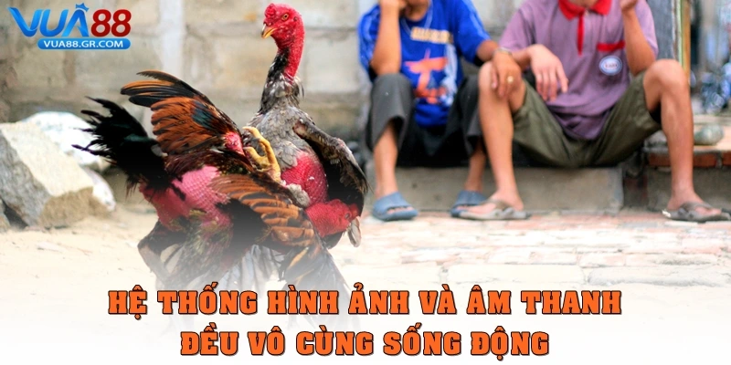 Hệ thống hình ảnh và âm thanh ở hệ thống đều vô cùng sống động