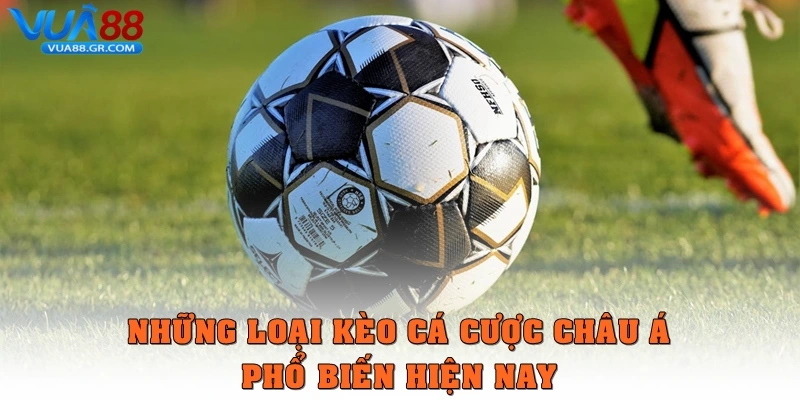 Những loại kèo cá cược châu Á phổ biến hiện nay